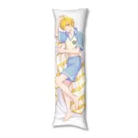 Akase Akatsuki - Dakimakura Cover - VTuber