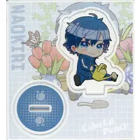 Naokiri - Acrylic stand - Colorful Peach