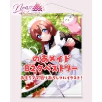 Himari Noa - Tapestry - VTuber