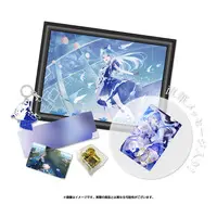 Souya Ichika - Complete Set - Book - Postcard - Key Chain - Hand-signed - Acrylic Art Plate - Musical Box - 774 inc.