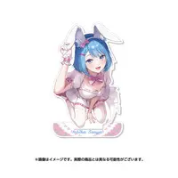 Souya Ichika - Acrylic stand - 774 inc.