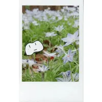 Ado - Character Card - Utaite