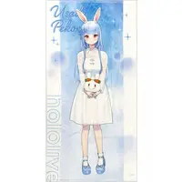 Usada Pekora - Towels - hololive