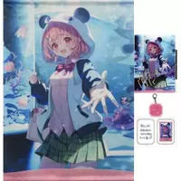Sasaki Saku - Acrylic Key Chain - Character Card - Key Chain - Acrylic Art Plate - Tapestry - Birthday Merch Complete Set - Nijisanji