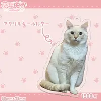 Mokachi - Acrylic Key Chain - Key Chain - VTuber