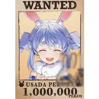 Usada Pekora - Character Card - hololive