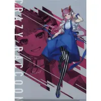 Selly - Stationery - Plastic Folder - Crazy Raccoon