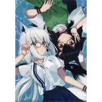 Shirakami Fubuki & Ookami Mio - Plastic Folder - Stationery - hololive