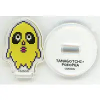 Chancho - Acrylic stand - Ponpoko & Peanuts-kun