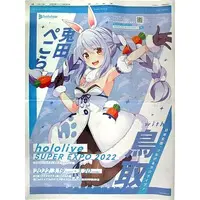 Usada Pekora - Book - Flyer - hololive
