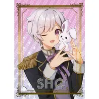 Shou - Character Card - Ireisu (Random Item)