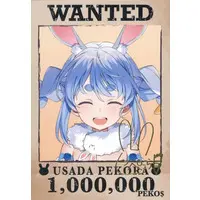 Usada Pekora - Character Card - hololive