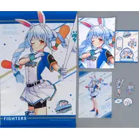 Usada Pekora - Stationery - Acrylic Key Chain - Badge - Plastic Folder - Stickers - Key Chain - Acrylic stand - Towels - Tapestry - hololive