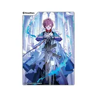 Wokka - Card Sleeves - Trading Card Supplies - Xross Stars - Crazy Raccoon