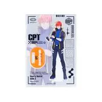 Cpt - Acrylic stand - Crazy Raccoon