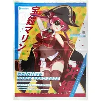 Houshou Marine - Book - Flyer - hololive