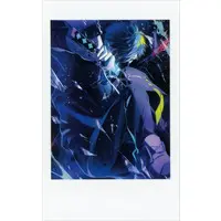 VanilLa - Character Card - Crazy Raccoon