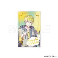 Exclusive Clear Card Collection Sonny Brisko