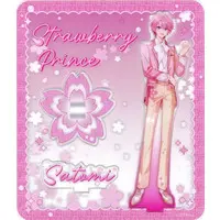 Satomi - Acrylic stand - Strawberry Prince