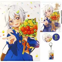 Hayama Marin - Acrylic Key Chain - Badge - Tapestry - Acrylic Art Plate - Birthday Merch Complete Set - Nijisanji